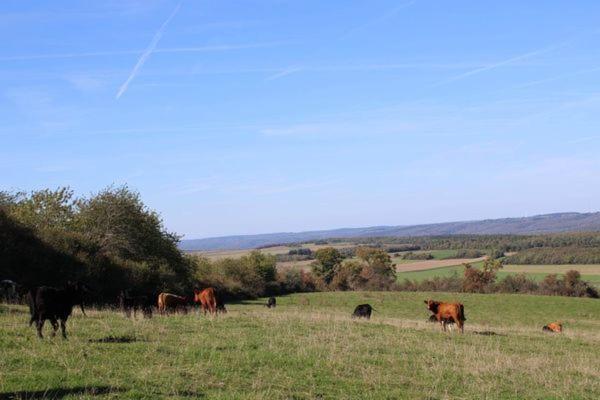 Au Chant Du Coq Wancennes Eksteriør bilde